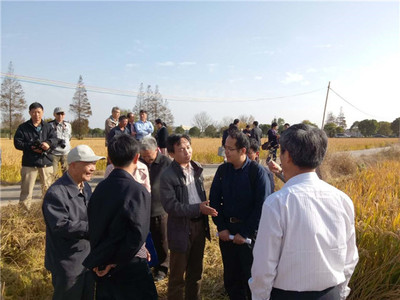 發(fā)揮學科優(yōu)勢，助力崇明建設——化分學院分析-物化聯(lián)合黨支部“主題黨日”活動聚焦海水養(yǎng)殖技術研發(fā)